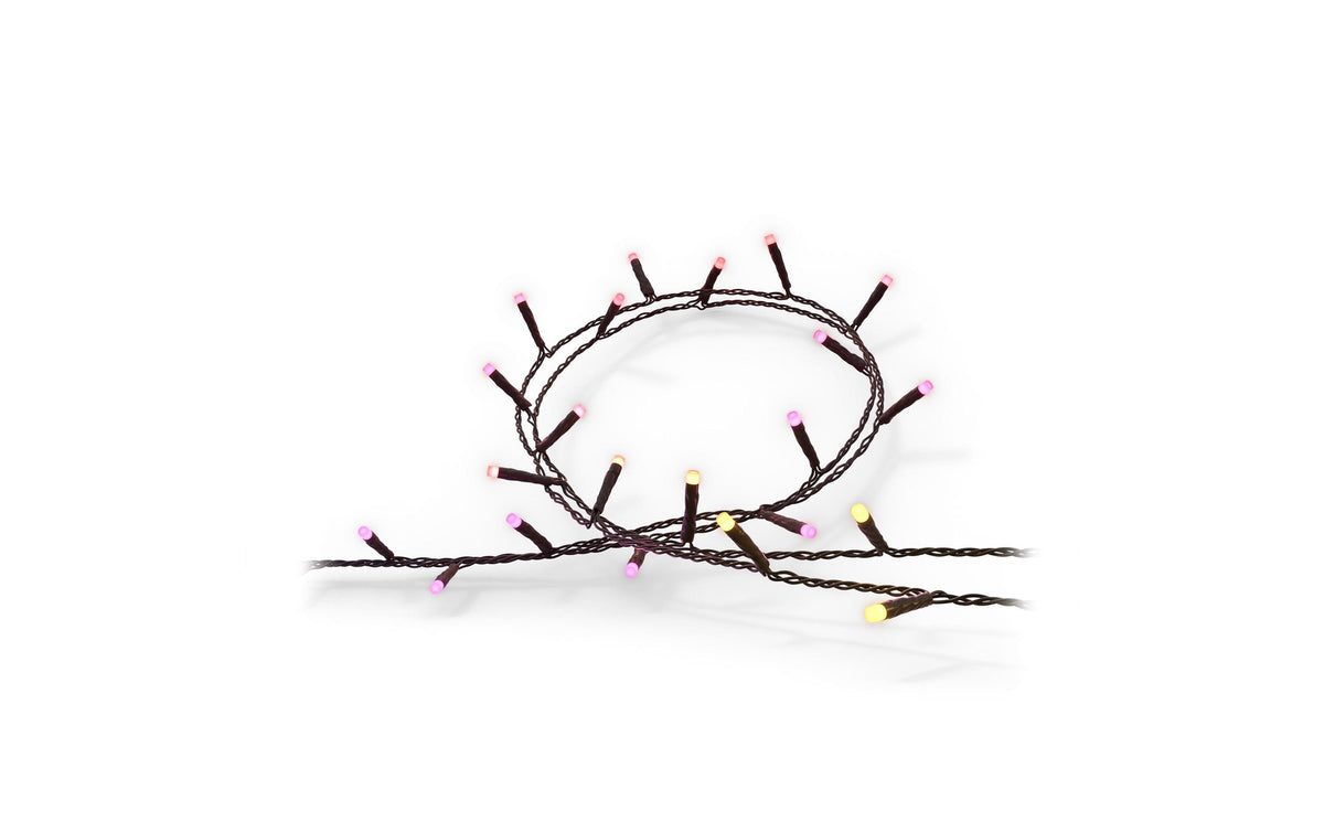Lichterkette Festavia 20m 250 LEDs Philips Hue