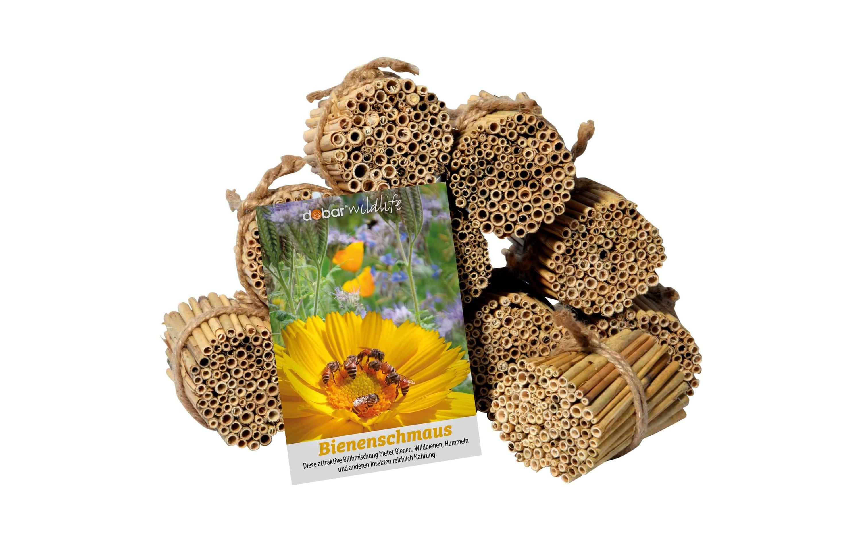 dobar GL Schilfrohrhalme-Set inkl. Samenmischung Bienenschmaus