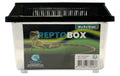 Repto Kunststoffterrarium Breedingbox S, 18 x 11 x 12 cm