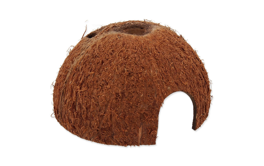 Repti Planet Coco Schale