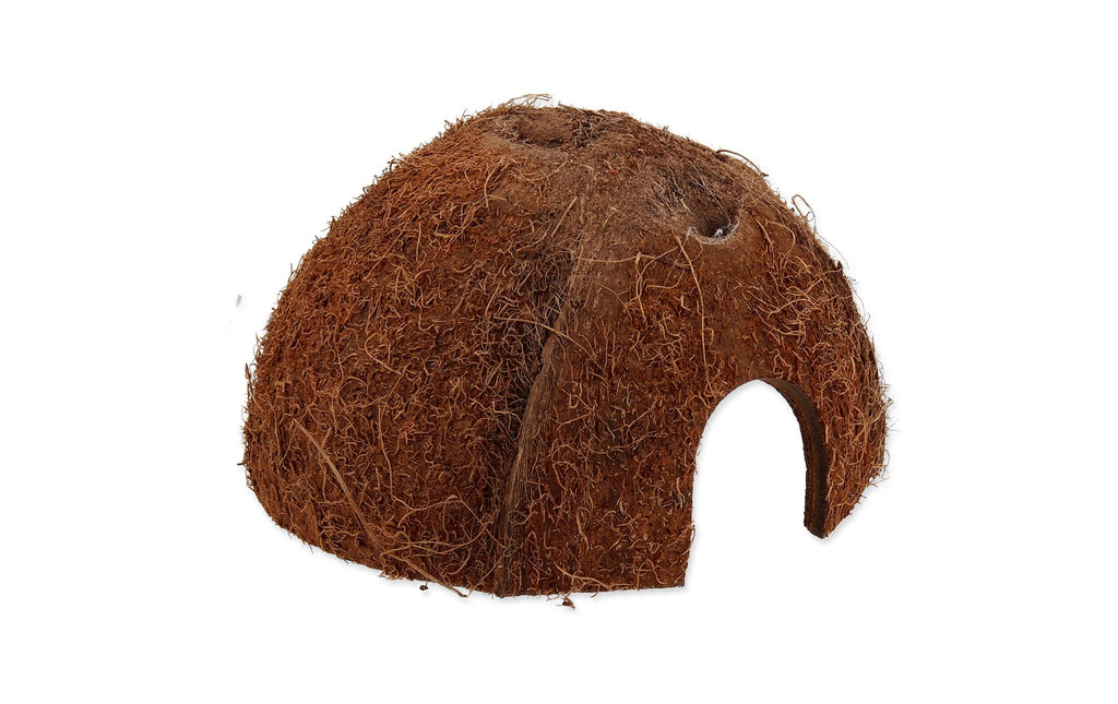 Repti Planet Coco Schale