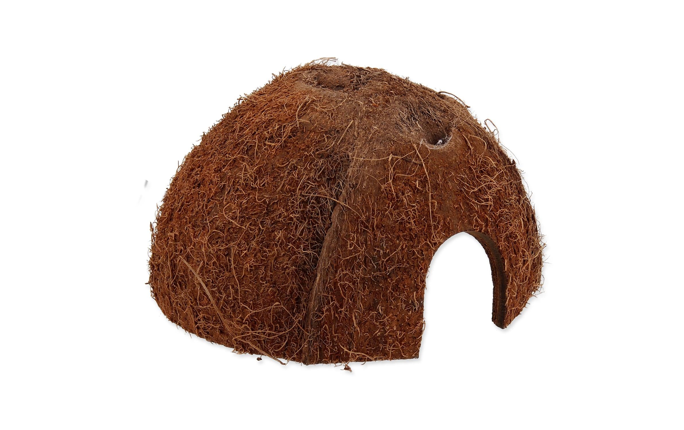 Repti Planet Coco Schale