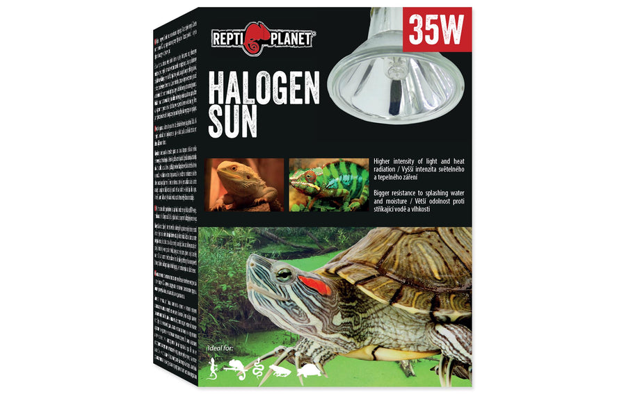 Repti Planet Terrarienlampe Halogen Spot 35 W