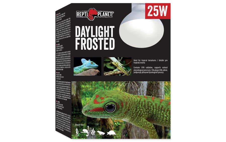 Repti Planet Terrarienlampe Daylight