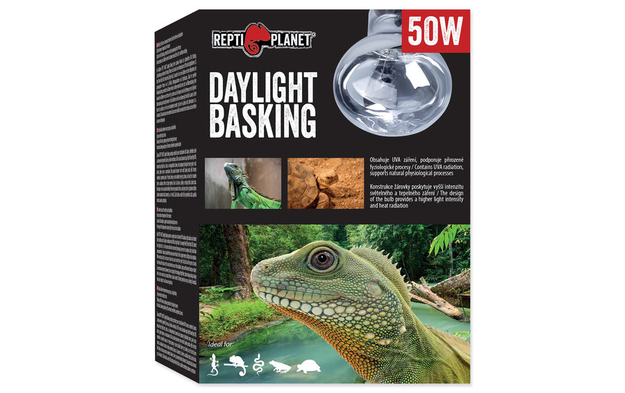 Repti Planet Daylight Basking Spot 50 W