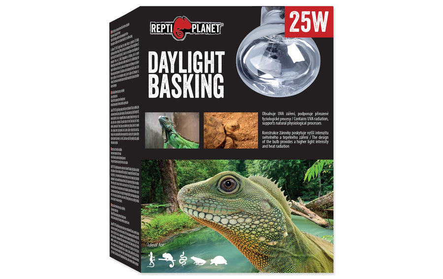 Repti Planet Daylight Basking Spot 25 W