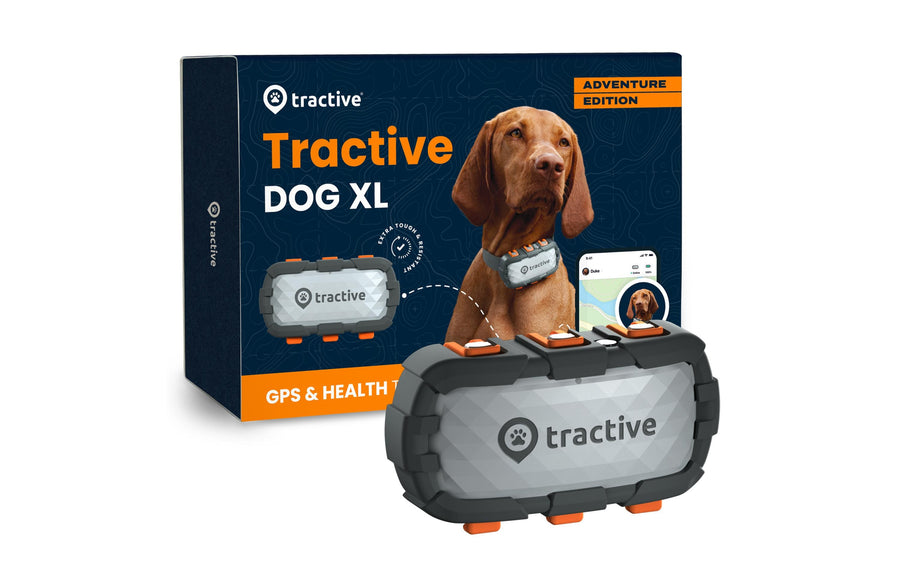 tractive GPS-Tracker DOG XL Adventure Edition, Grau