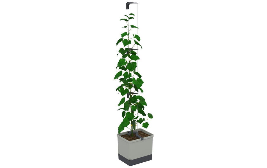 Gusta Garden CURT CUCUMBER Grauer Gurkentopf Keramik 20 cm Garten & Outdoor > Pflanzen > Pflanzengefäße Gusta Garden