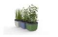 Gusta Garden Kräutertopf 3er Set Trecolore aus nachhaltigen Materialien Garten & Outdoor > Pflanzen > Pflanzengefäße Gusta Garden