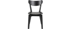 AC Design Esszimmerstuhl Roxby 2 Stück Schwarz/Eiche