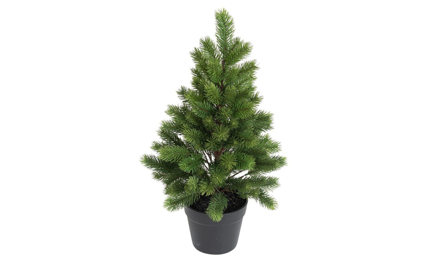 Botanic-Haus Weihnachtsbaum 60 cm, im Topf