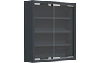 VCM Vitrine Agisa S