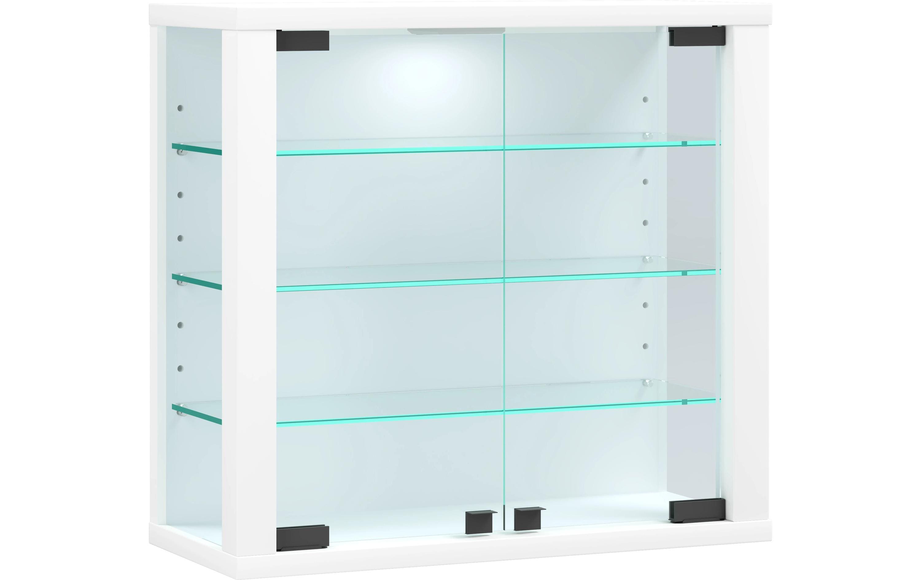 VCM Vitrine Vitrosa S