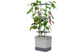 Gusta Garden Charly Chili Aufzuchttöpfe Kunststoff Hellgrau XL Garten & Outdoor > Pflanzen > Pflanzengefäße Gusta Garden