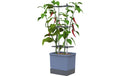 Gusta Garden Aufzuchttöpfe Chili XL Blau Wetterbeständig Garten & Outdoor > Pflanzen > Pflanzengefäße Gusta Garden