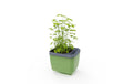 Gusta Garden Kräutertopf Keramik Dunkelgrün 15 cm Garten & Outdoor > Pflanzen > Pflanzengefäße Gusta Garden