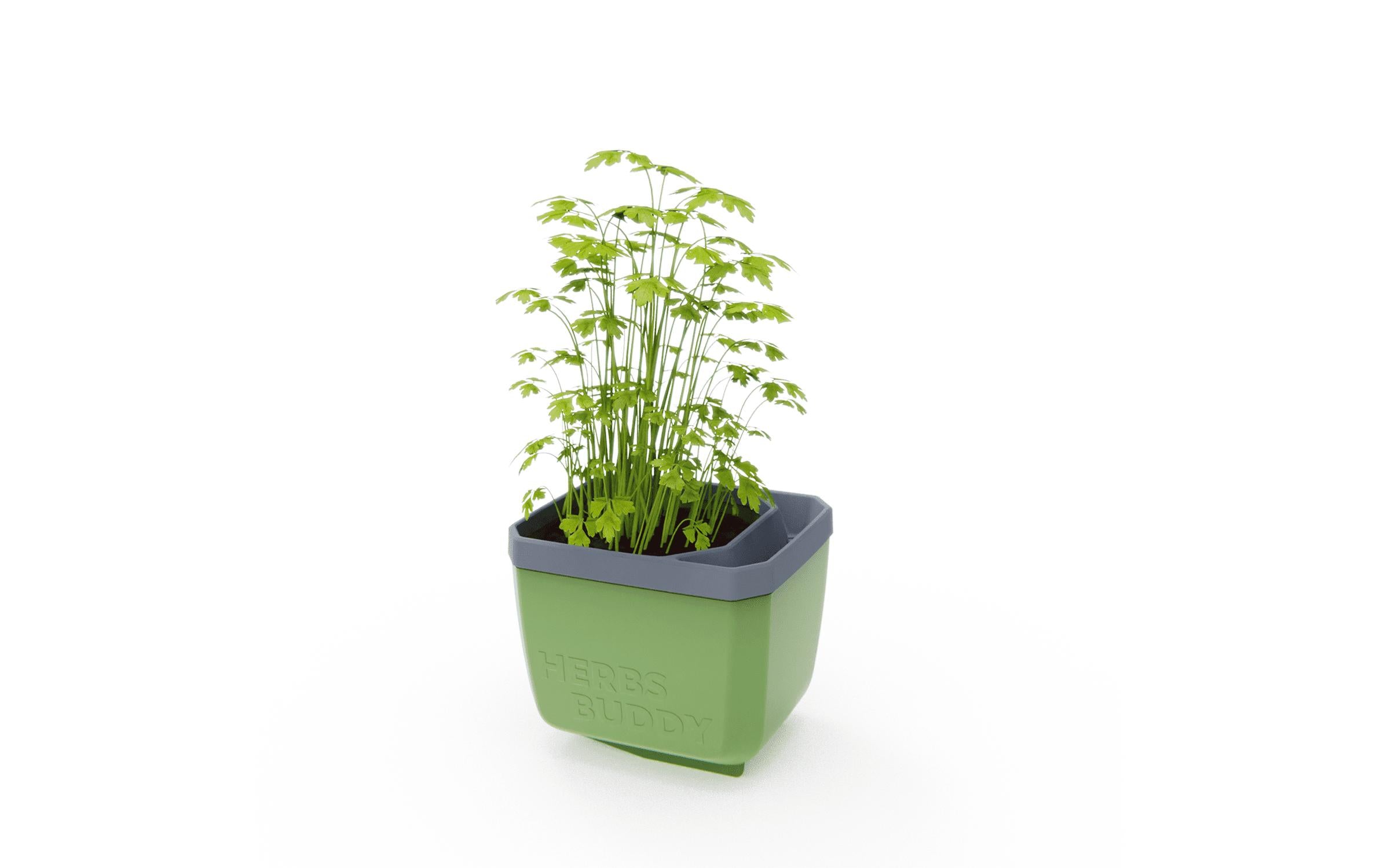 Gusta Garden Kräutertopf Keramik Dunkelgrün 15 cm Garten & Outdoor > Pflanzen > Pflanzengefäße Gusta Garden