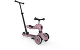 Scoot and Ride Laufrad / Dreirad Push and Go Wildberry