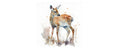 Braun + Company Deer Mehrfarbig, 20 Stück