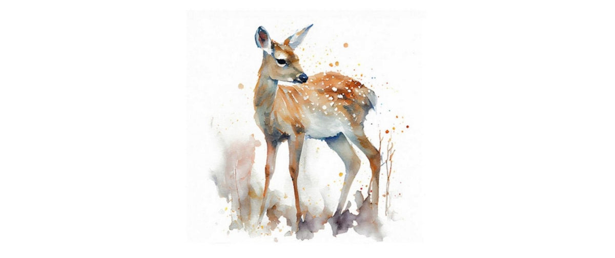 Braun + Company Deer Mehrfarbig, 20 Stück