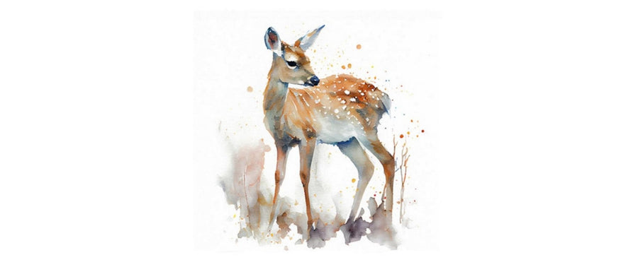 Braun + Company Deer Mehrfarbig, 20 Stück