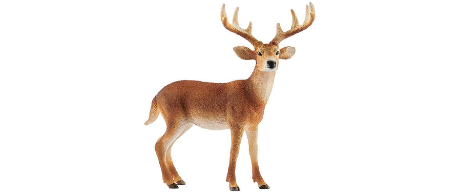 Schleich Spielzeugfigur Wild Life Weisswedelhirsch