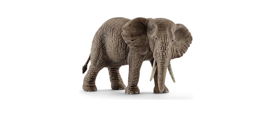 Schleich Spielzeugfigur Wild Life Afrikanische Elefantenkuh