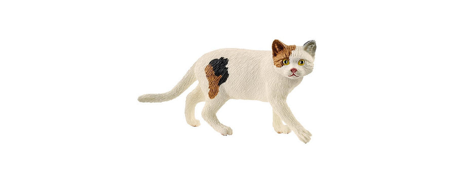 Schleich Spielzeugfigur Farm World Amerikanische Kurzhaarkatze