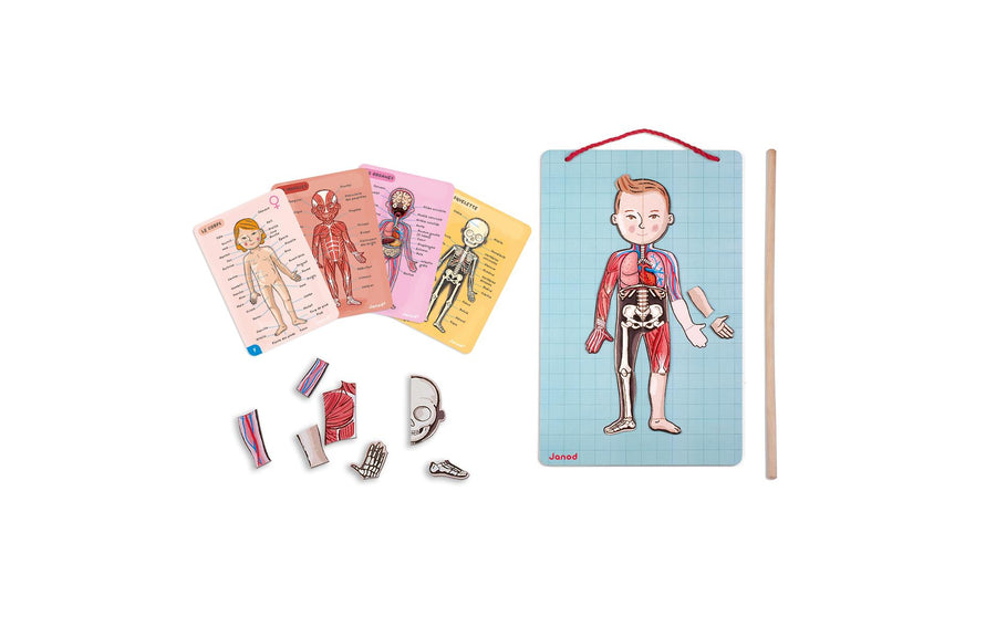 Janod Kinderspiel Magnetspiel Körper