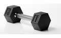 HAMMER Kurzhantel Hexagon PRO 1 x 2 kg