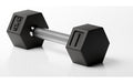 HAMMER Kurzhantel Hexagon PRO 1 x 3 kg