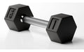 HAMMER Kurzhantel Hexagon PRO 1 x 6 kg