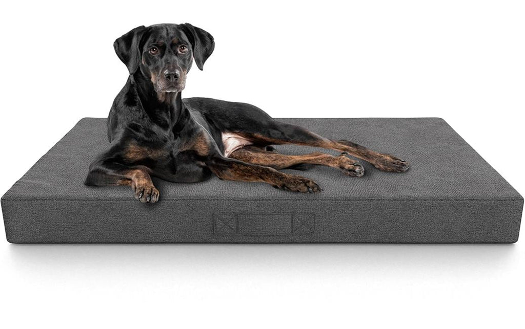 Knuffelwuff Orthopädische inkontinenz Hundematte Lenie L, Grau