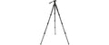 Celestron Stativ Regal Premium