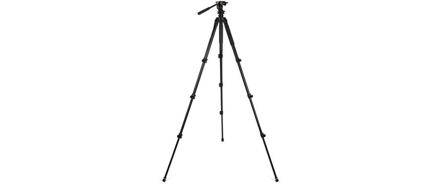 Celestron Stativ Regal Premium