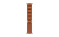Apple Alpine Loop 49 mm Terra Cotta Natural Titanium Medium