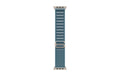 Apple Alpine Loop 49 mm Light Blue Natural Titanium Large