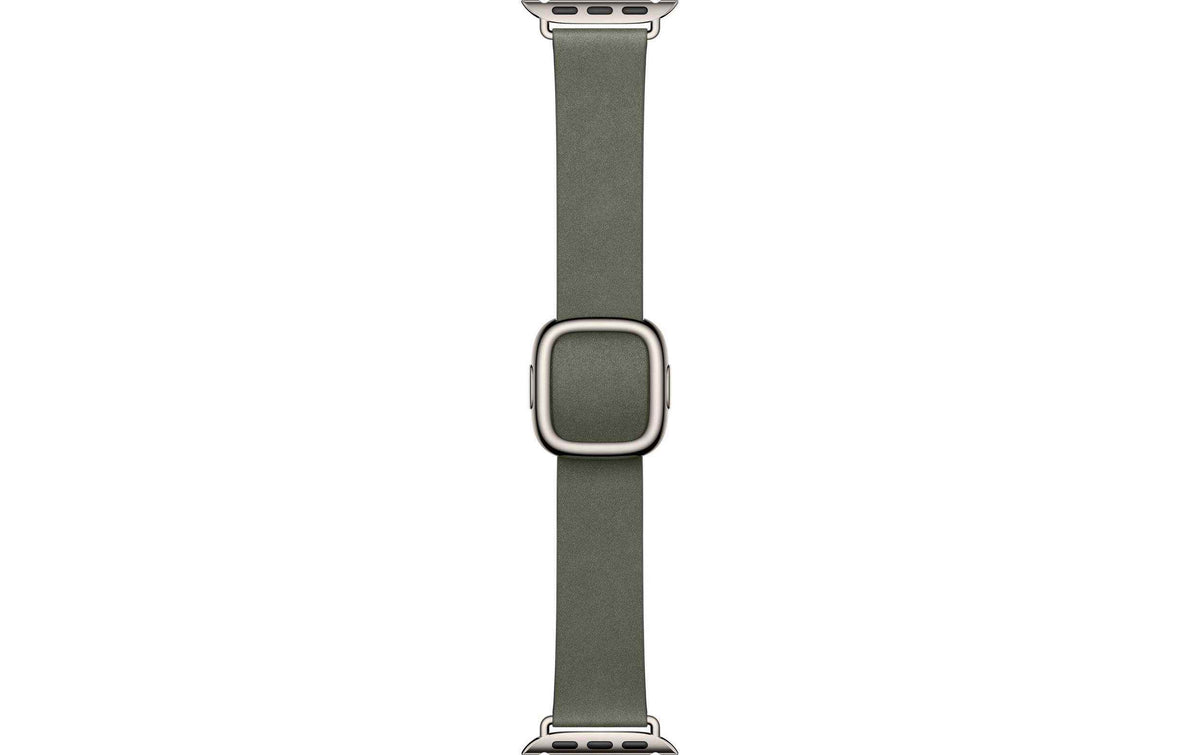 Apple Modern Buckle 42 mm Sage Gray Medium