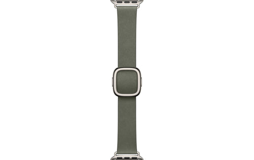 Apple Modern Buckle 42 mm Sage Gray Medium
