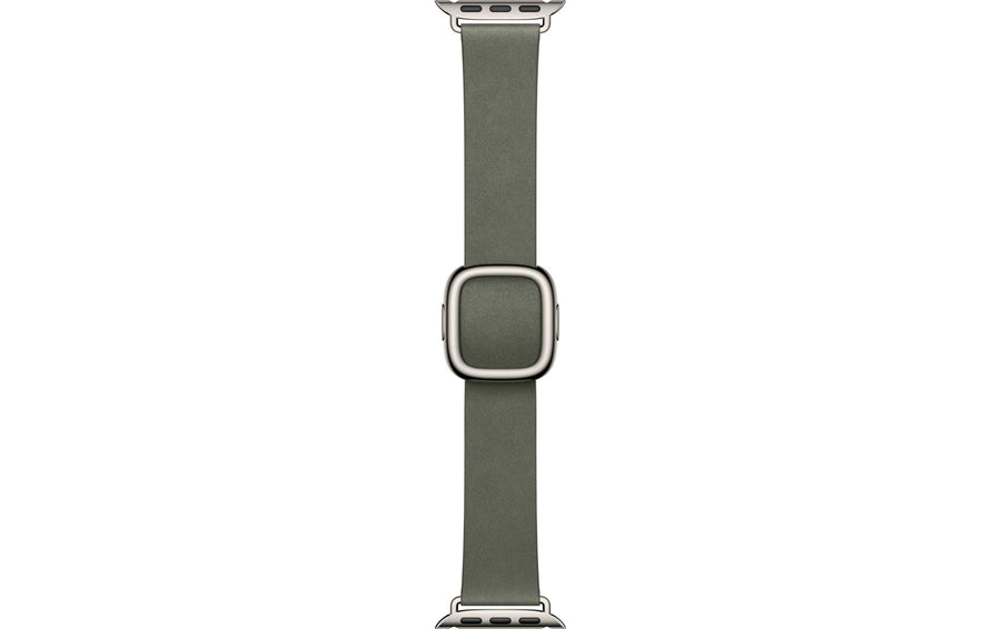 Apple Modern Buckle 42 mm Sage Gray Medium