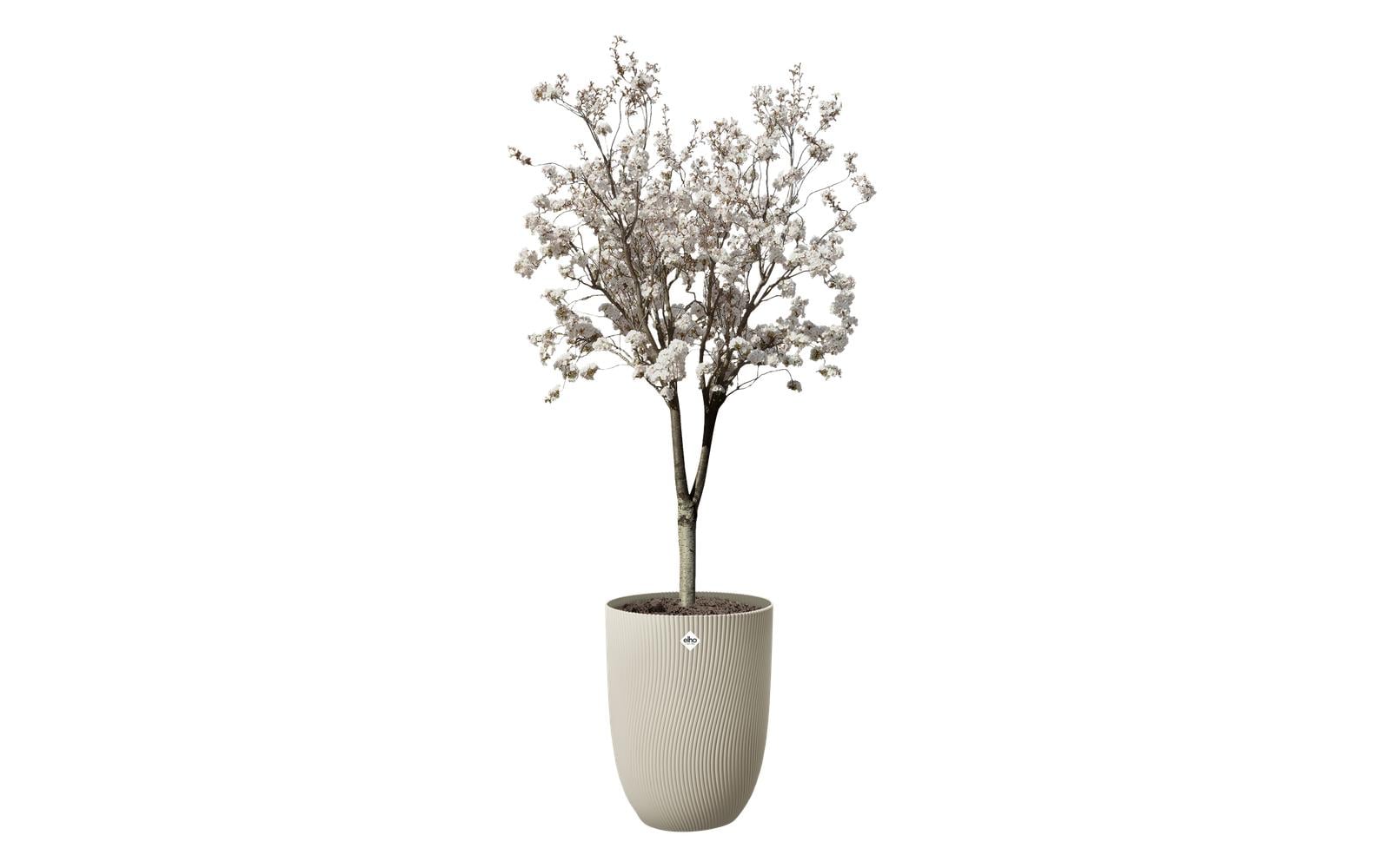 Elho Pflanzentopf Sereh Hoch Recycelter Kunststoff Beige 40 cm Garten & Outdoor > Pflanzen > Pflanzengefäße Elho