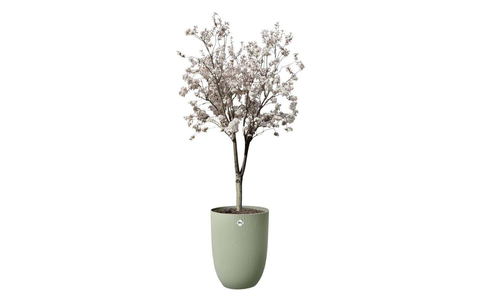Elho Sereh Hoch Pflanzentopf aus recyceltem Kunststoff in Grün, 40 cm Garten & Outdoor > Pflanzen > Pflanzengefäße Elho