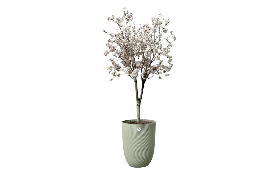 Elho Sereh Hoch Pflanzentopf aus recyceltem Kunststoff in Grün, 40 cm Garten & Outdoor > Pflanzen > Pflanzengefäße Elho