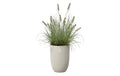 Elho Pflanzentopf Sereh Hoch Beige aus recyceltem Kunststoff 30 cm Garten & Outdoor > Pflanzen > Pflanzengefäße Elho
