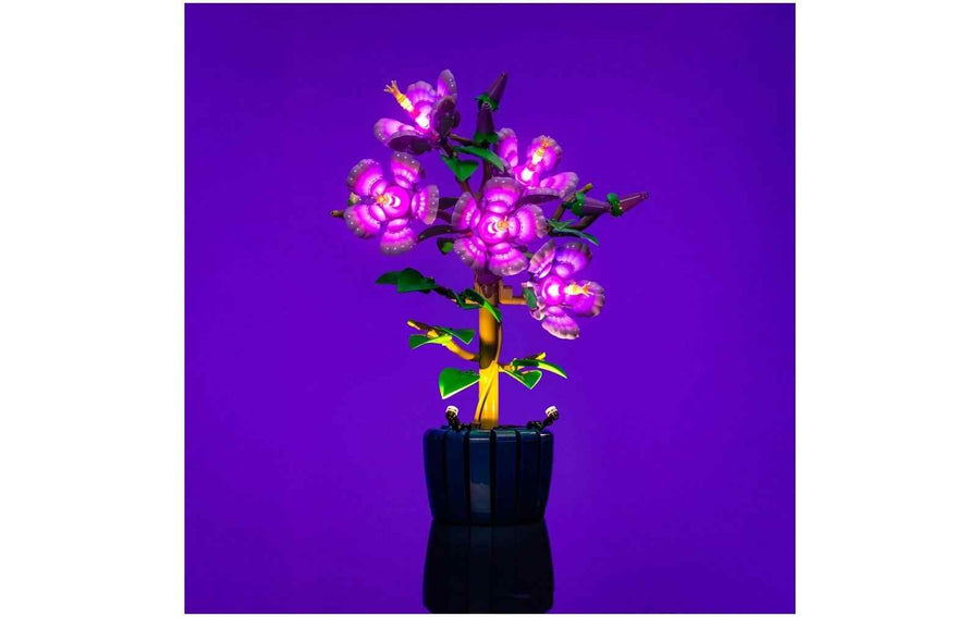 Light My Bricks LED-Licht-Set für LEGO® 10372 Hibiskus