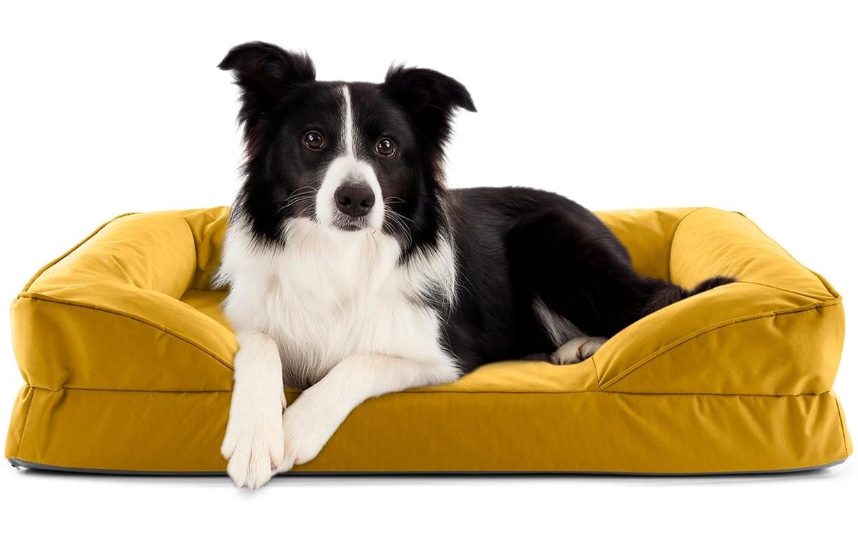 Lumaland Hundebett In-& Outdoor M Senfgelb