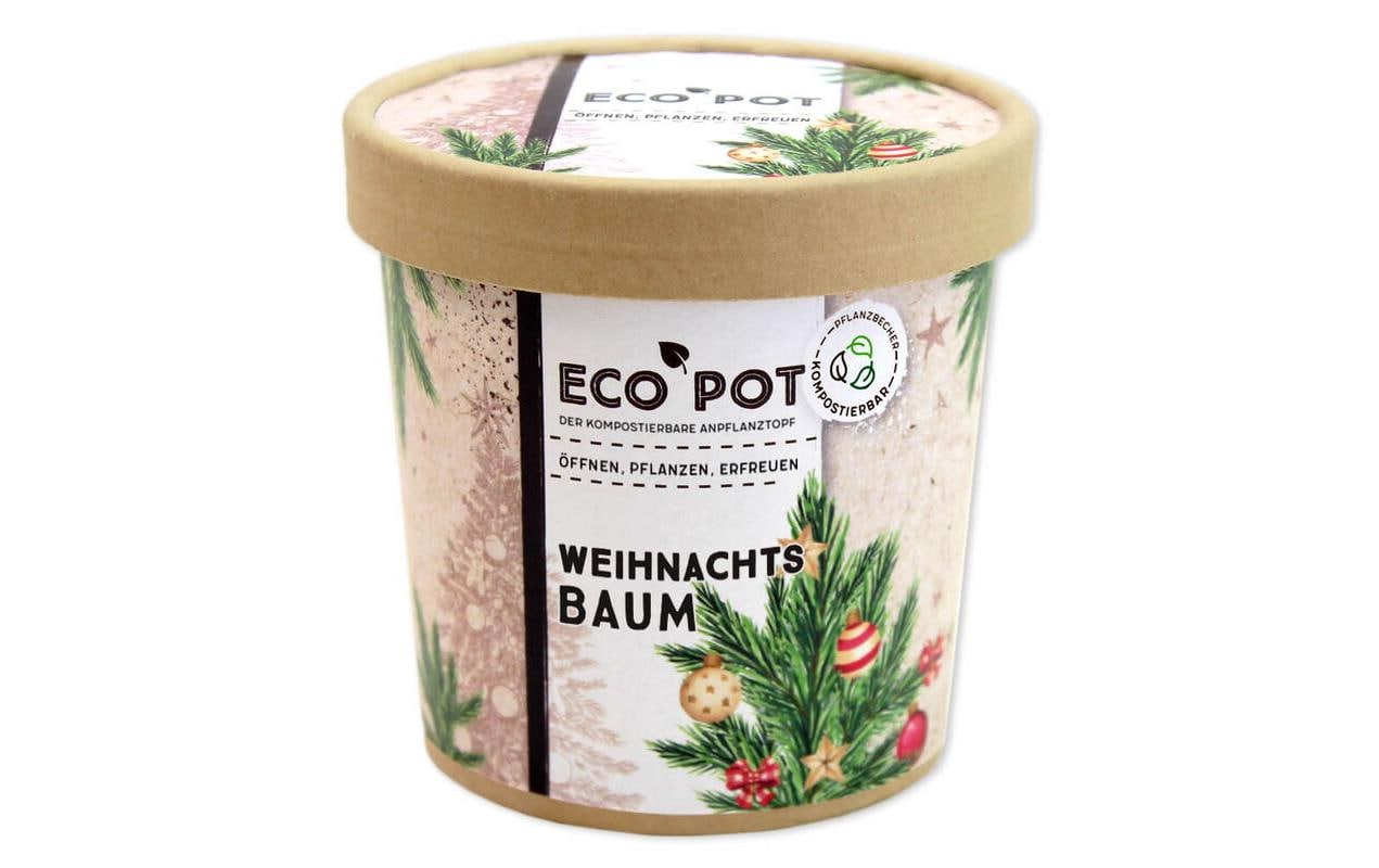 Feel Green EcoPot Weihnachtsbaum