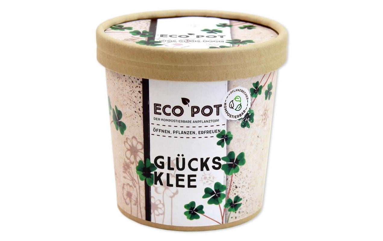 Feel Green EcoPot Glücksklee