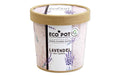 Feel Green EcoPot Lavendel BIO