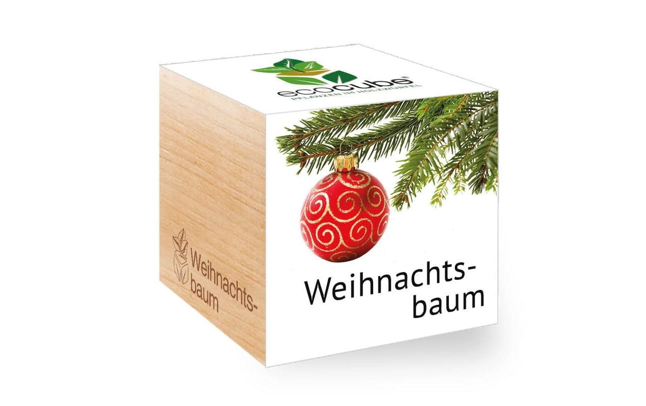 Feel Green Ecocube Weihnachtsbaum